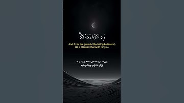 سورة الزمر الشيخ محمد أيوب