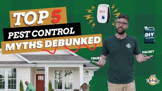 Top 5 Pest Control Myths Debunked