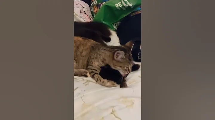 You "WILL" Love Me!