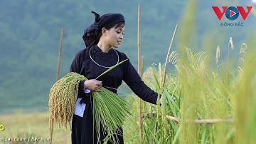 Chứ Ơn Đảng Bác Hồ - CLB Hát Then Đàn Tính Sắc Châm Tỉnh Bắc Cạn