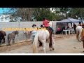 FEIRA DO CAVALO CAMPINA GRANDE-PB 07/04/2021 ESSA TAVA BASTANTE CHEIA