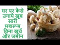 घर पर उगाये खूब सारी मशरूम बिना गार्डन और खर्च grow mushroom at home easily