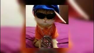 eiffel 65 - blue (da ba dee) [sped up]