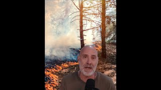 Wildlife Benefit From Prescribed Fire
