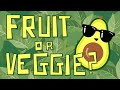 Video Tutorial Quiz
