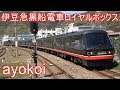 伊豆急行2100系黒船電車 ロイヤルボックス連結 8両編成