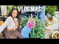 #VLOGMAS | NAILS &amp; LASHES APPOINTMENT | CLOTHING HAUL| LUNCH DATE + MORE