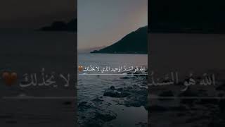 الله هو السند الوحيد الذي لن يخذلك❤️حالات واتس آب دينية