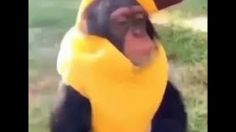 1:29 Matrix Automatics (late join) Round // Roblox Arsenal Gamepllay