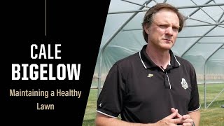Purdue Expert: Healthy Lawns