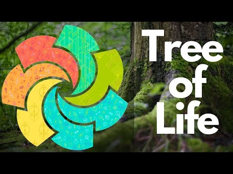 Tree Of Life Clue #2 From Cotton Cuts Puzzle Mystery Quilt