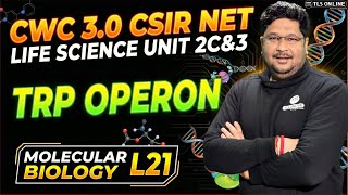    U0026         U0026      