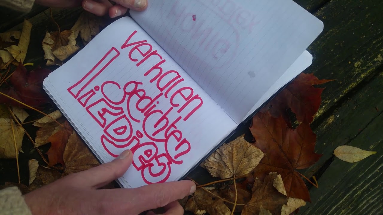 PAFF BOEM PATS, RAUW OP JE DAK! - YouTube