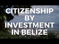 HOW TO BUY A PASSPORT? CITIZENSHIP BY INVESTMENT IN BELIZE