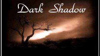 The crypt (intro) from DARK SHADOW ( one man doom/goth metal band/project)