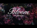 [Lyrics+Vietsub] Bloom - The Paper Kites