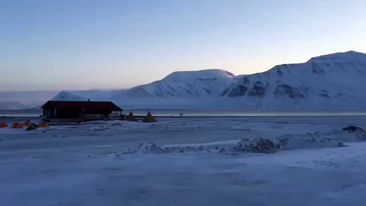 Svalbard | up close with a Svalbard reindeer