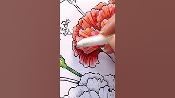 How I Color Carnation Flower | Coco Wyo Coloring Book