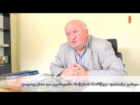 ლაგოდეხსა და ყვარელში მიწების მორწყვა ფასიანი გახდა