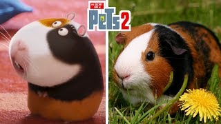The Secret Life Of Pets 2 Characters In Real Life | Star Detector