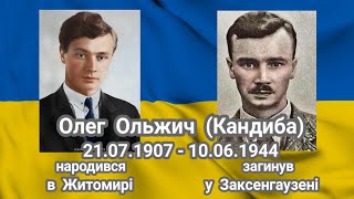 "Не знаю мій Друже, де твоя могила". Володимир Стельмах. муз. Орест Данилевич/сл. Корній Товстюк;