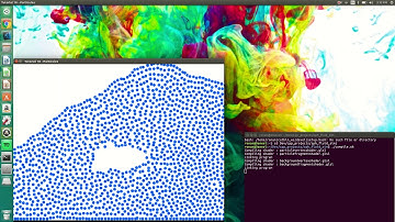 Lagrangian and Euler Fluid Simulations in C++ using OpenGL and SFML