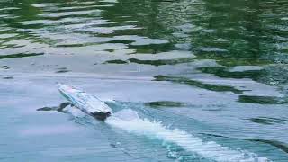 RC Boat - Fast Electric - IMPULSE 32 - Speed & Agility