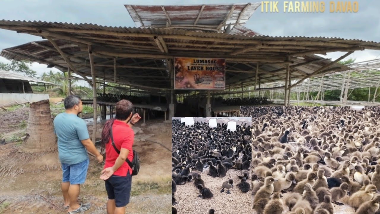 SEAFARER NOON NA NAGING SUCCESSFUL SAPAG IITIK,AT NAGING MULTIPLIER NA NGAYON PANOORIN