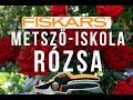 Hogyan kell metszeni a rózsát?  - Fiskars metsző-iskola