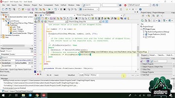 How to drag & drop files - Delphi 10