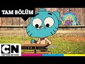 GUMBALL'IN MUHTEŞEM TUHAF DÜNYASI | Şey | TAM BÖLÜM | @cartoonnetworkturkiye