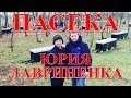 На пасеке Юрия и Павла Лавриненко / FABRO