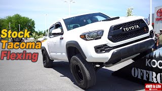 Toyota Tacoma Off-Road - Stock vs Lifted Suspension Flex Comparison