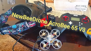 NewBeeDrone AcroBee 65 V3 Training, Hitting Gaps and Fast Flying