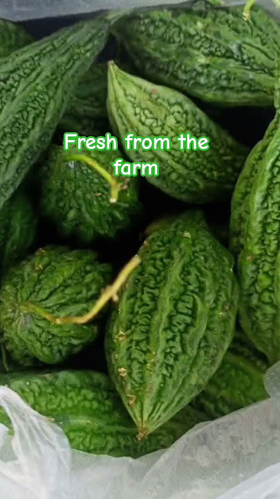 Gulay fresh from the farm