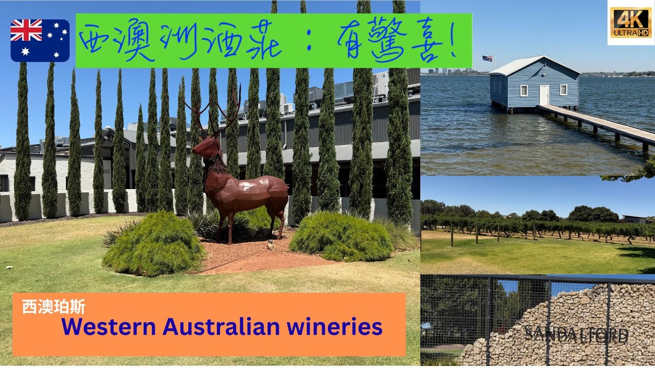 【4K 🇦🇺 Swan Valley Winery】40度猛烈陽光下我們造訪了珀斯的斯旺谷一家著名酒廠. 品嚐了各種紅酒和白酒,享用了美妙的午餐 #winery #perth #swanvalley