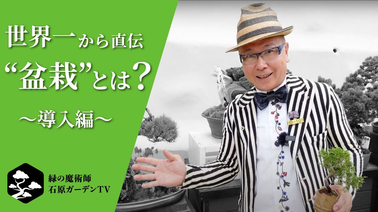 初心者向け】世界一の庭園デザイナーが教える盆栽講座【導入編】 - YouTube