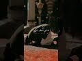 لا تطلب من غير الله