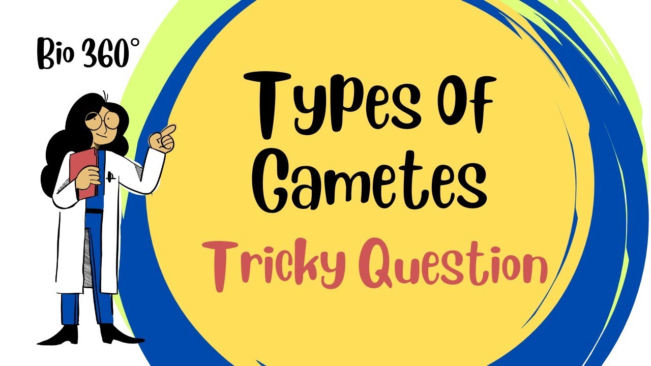 calculate number of different types of gametes |Tricky Questions|Genetics|Class12 NCERT|NEET