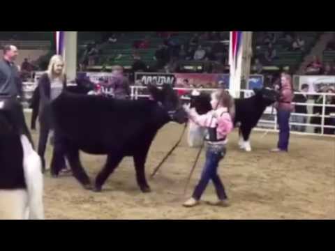 Judge Ryan Rathmann Comments From Yesterday In Denver! - YouTube