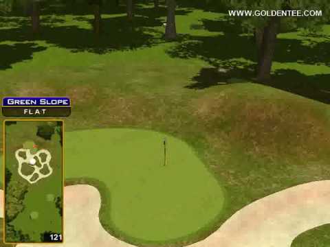 Golden Tee Great Shot on Sunny Wood!