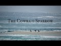 The cowra  the sparrow