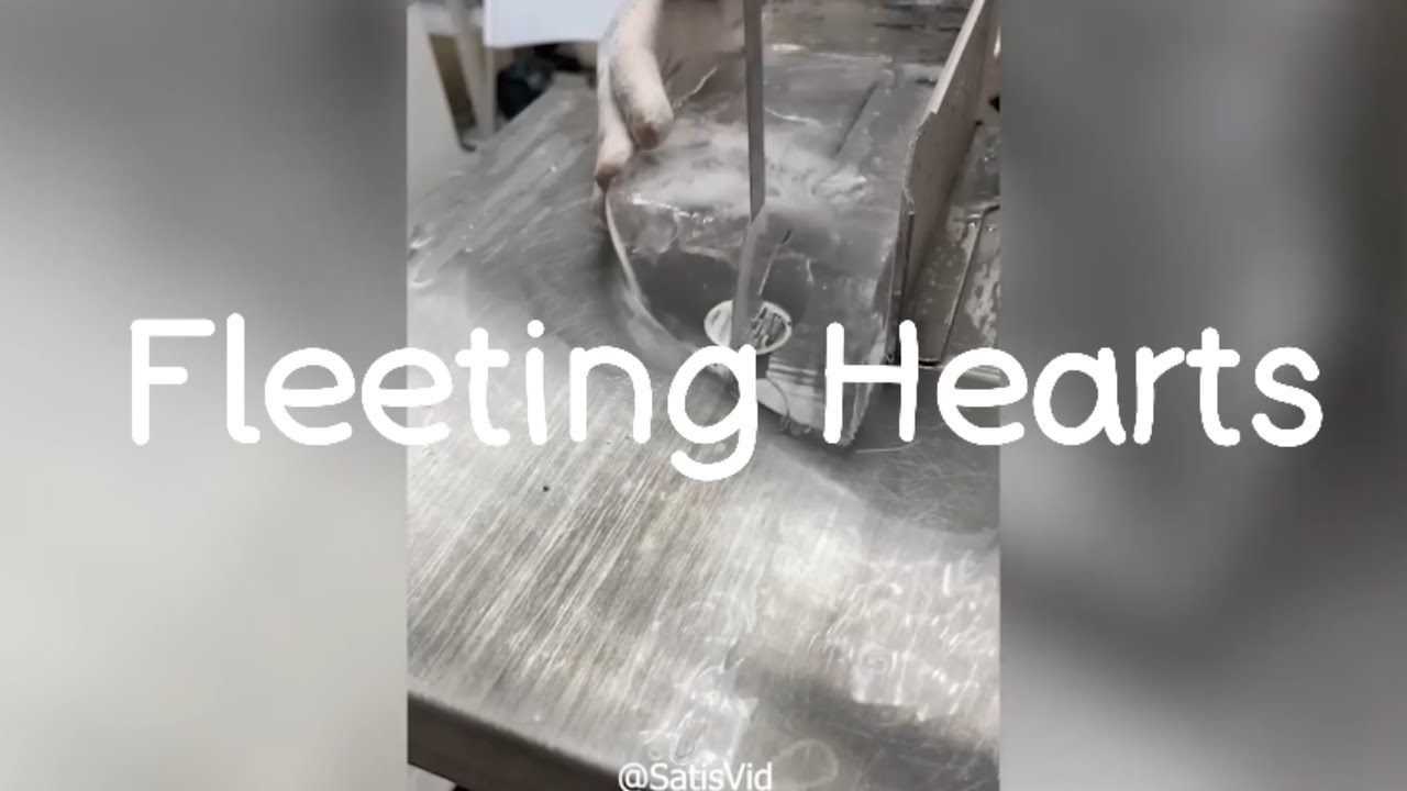 Fleeting Hearts (FULL VIDEO)