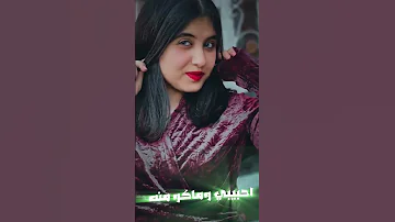 شجرة وصيرله فياي مصطفى ديزل كاضم الشويلي فاطمة علي مريم الغزال لايك اشتراك دوله كنتاكي 