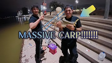 Berapa Banyak Ikan yang Bisa Kita Tangkap di Danau Kota Tempe?!