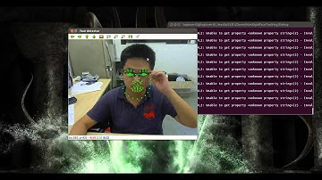 76 Keypoints Face Detection based on Active Shape Model (ASM)