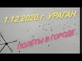 🔥 ГОЛУБИ - ПОЛЁТЫ В ГОРОДЕ САМ В ШОКЕ - УРАГАН 🔥1.12.2020.Г.