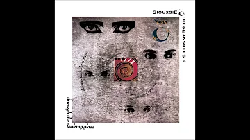 Siouxsie and The Banshees   The Passenger