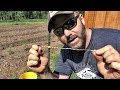 CHEAP! EASY! AWESOME FENCE THAT CONFUSES DEER...AND KEEPS THEM OUT!!! CHEAP! EASY! AWESOME FENCE THAT CONFUSES DEER...AND KEEPS THEM OUT!!!