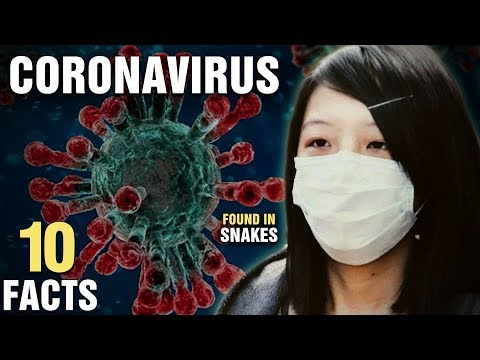 10-surprising-facts-about-the-coronavirus